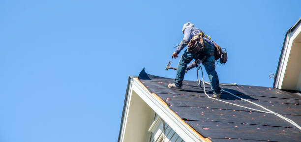 Best Roof Gutter Cleaning  in Struthers, OH